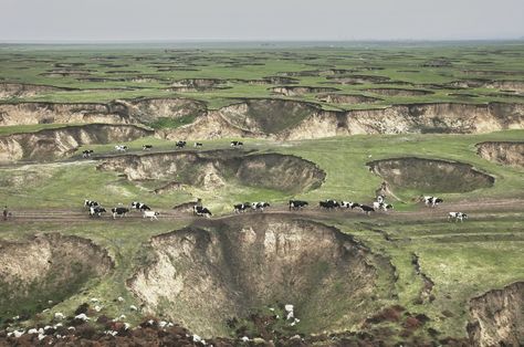 Coal mining has left Mongolia grassland pockmarked with huge sinkholes! FuturistSpeaker.com #coalmining #mongolia #whatamess Bad Image, Environmental Problem, Alfred Stieglitz, Mad World, Photo Competition, Coal Mining, Progress Pictures, Environmental Issues, Animated Images