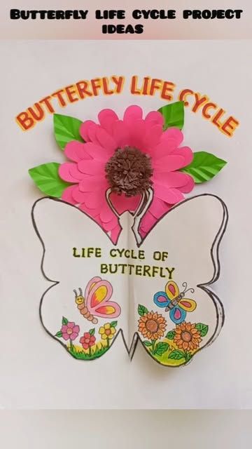 Butterfly Life Cycle Craft Art Projects, Science Project For Class 6, Animal Life Cycle Activities, 5th Grade Science Fair Projects Ideas, Cycle Of Butterfly, Kids Craft Work, Human Body Science Projects, Butterfly Life Cycle Activity, Butterfly Life Cycle Craft