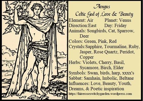 Aengus: Celtic God of Love & Beauty Incense Recipes, Magick Herbs, Celtic Paganism, Celtic Deities, Witchy Garden, Celtic Myth, Divination Runes, Celtic Gods, God Of Love