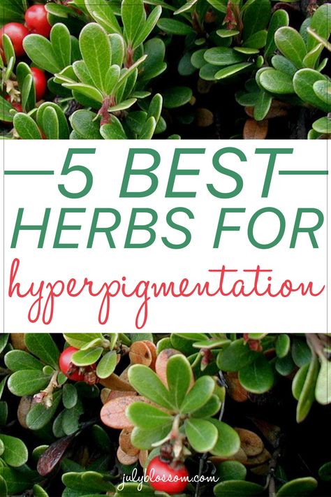 Top Herbs For Health, Skin Care Herbs, Herbs For Hyperpigmentation, Herbs For Glowing Skin, Hyperpigmentation Remedies, Carrier Oils For Skin, Herb Life, Skin Hyperpigmentation, Natural Glowing Skin