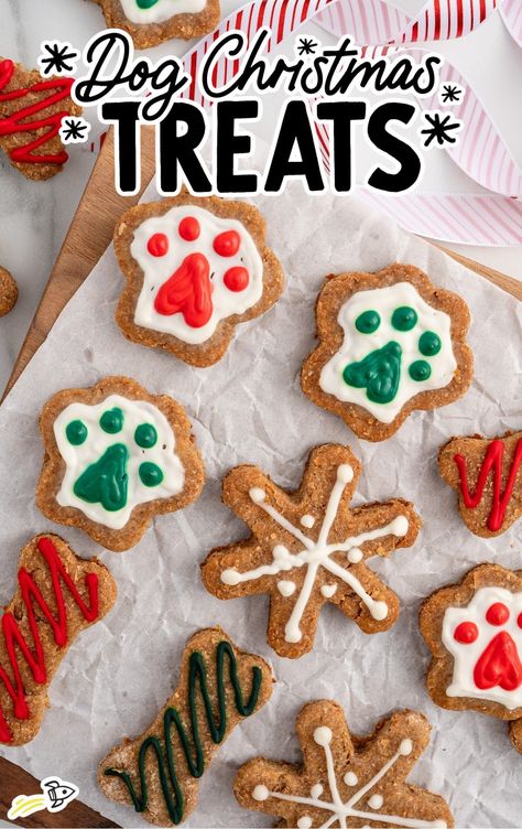 Christmas Dog Biscuits, Dog Christmas Treats, Dog Biscuit Recipe, Holiday Dog Treats, Power Bites, Dog Treats Chicken, Peanut Butter Dog Biscuits, Grain Free Dog Treats, Dog Cookie Recipes