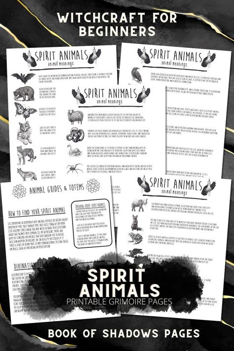 Basic Witchcraft, Witchcraft Grimoire, Book Of Shadows Pdf, Witchcraft Basics, Find Your Spirit Animal, Spirit Animal Meaning, Book Of Shadows Pages, Animal Meanings, Animal Spirit Guides