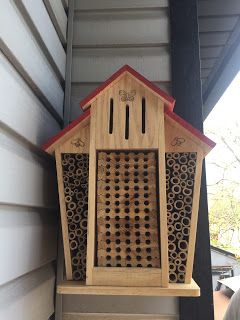 Blue Orchard Mason Bees Monarch Butterfly Habitat, Gardening Tools Names, Butterfly Habitat, Solitary Bees, Mason Bees, Carpenter Bee, Bee House, Starting A Vegetable Garden, Food Supply