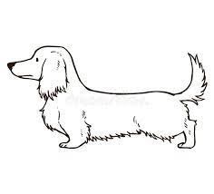 Long Hair Dachshund Tattoo, Dachshunds Tattoo, Daschund Drawing, Dachshund Dog Drawing, Doxie Tattoo, Daschund Tattoo, Dachshund Tattoo Ideas, Dachshund Sketch, Dachshund Drawing