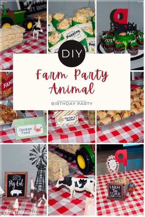 Farm Decor Birthday Party, Farm Themed Party Food Ideas, Farm Animals Birthday Party Food, Farm Themed Birthday Party Food Snacks, Food For Farm Themed Birthday Party, Farm Theme Food Ideas, Farm Animal Food Ideas, Farm Theme Birthday Food, Animal Party Food Ideas