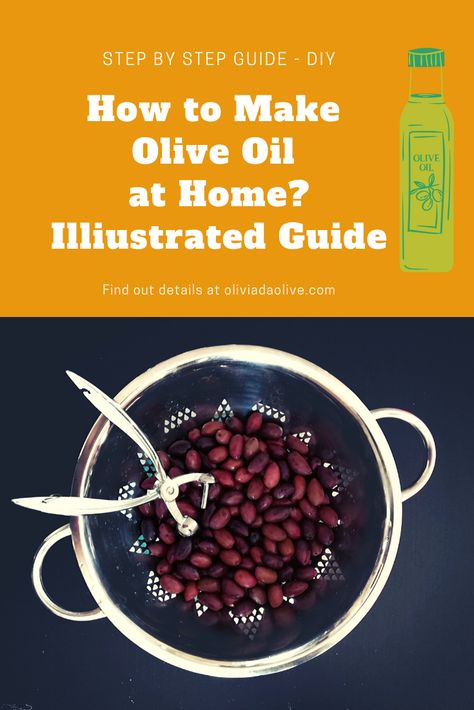 Make Olive Oil At Home, Make Your Own Olive Oil, Making Olive Oil At Home, How To Keep Olive Oil Fresh, How To Make Olive Oil At Home, How To Make Olive Oil, Diy Olive Oil, Homemade Olive Oil, Tiny Castle