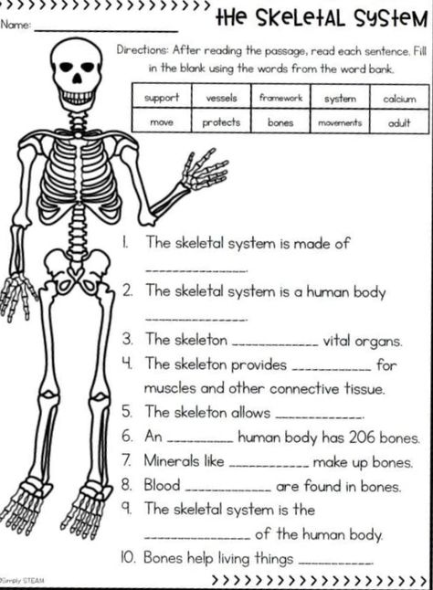 Human Body Systems Activities, Body Systems Activities, Elementary Health Lessons, Human Body Printables, Skeletal System Worksheet, Cloze Passages, Sterile Processing, Middle School Health, Human Body Worksheets