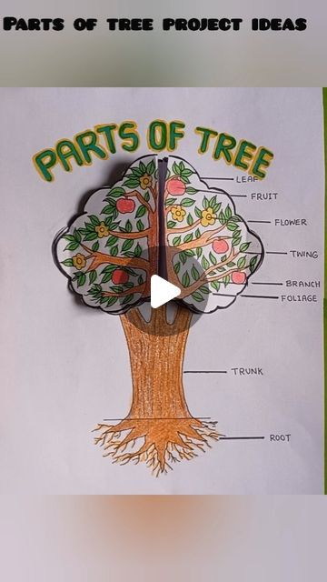 Tree Project, Plant Activities, Creative School Project Ideas, English Projects, Tree Day, Kids Part, Toddler Learning Activities, Tree Drawing, April 12