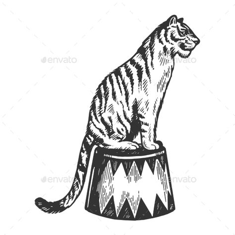 Circus Lion Illustration, Circus Animal Drawing, Tiger Illustration Black And White, Circus Tiger Illustration, Circus Tiger Tattoo, Acorn Aesthetic, Circus Tiger, Circus Christmas, Tiger Dance