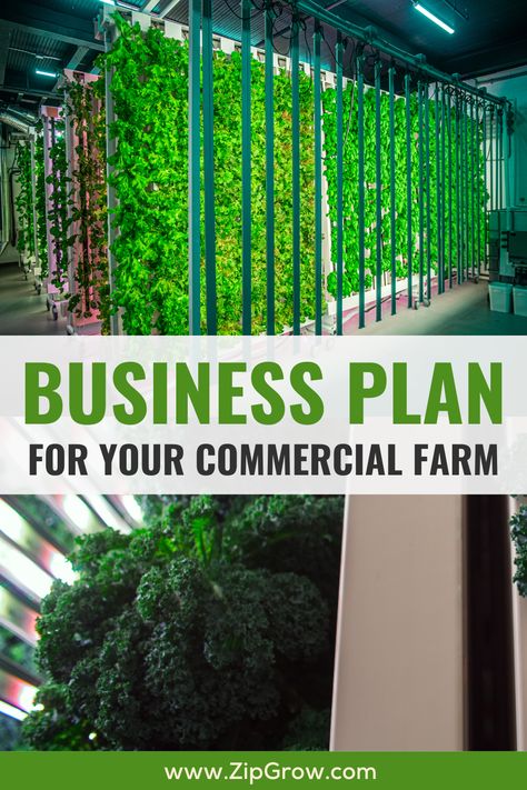 Commercial Greenhouse Ideas, Hydro Plants, Agriculture Business Plan, Manufacturing Business Ideas, Hydro Plant, Plant Business, Write A Business Plan, Greenhouse Farming, Commercial Farming