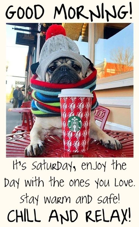 Saturday Morning Humor, Happy Saturday Quotes, Saturday Morning Quotes, Saturday Greetings, Good Morning Winter, Saturday Quotes, Good Morning Thursday, Good Morning Saturday, Weekend Quotes