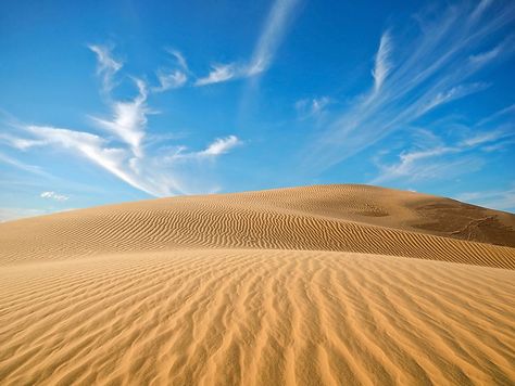 What Animals Live In The Sahara Desert? - WorldAtlas Desert Diorama, Australian Desert, Egypt Map, Deserts Of The World, Hot Desert, Salton Sea, The Sahara Desert, Sahara Desert, Amazon Rainforest