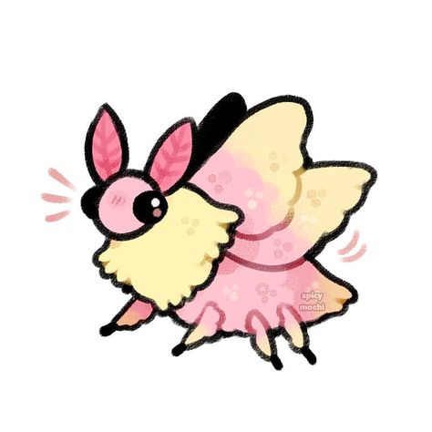 ✧ spicymochi ✧ on Instagram: “Pink lemonade moth . . . #rosymaplemoth #moth #moths #fluffy #mothman #bug #bugs #insects #digitalart #digitalillustration #art #artwork…” Moth Drawing, Rosy Maple Moth, Cute Moth, Moth Art, Animal Doodles, Cute Animal Drawings Kawaii, Cute Doodles Drawings, Cute Doodle Art, Cute Little Drawings