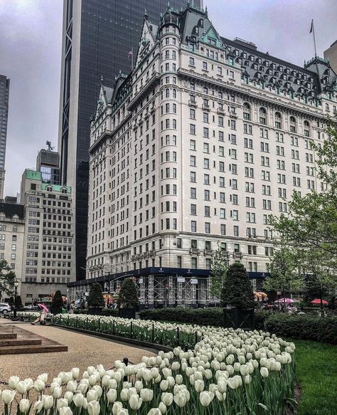 The Plaza Hotel Nyc, Plaza Hotel Wedding, The Plaza Hotel, Ny Hotel, New York City Vacation, Nyc Hotels, Nyc Aesthetic, New York Aesthetic, Plaza Hotel