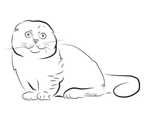 Munchkin Cat Drawing, Cat Outline, Chrysoprase Jewelry, Cat Drawings, Munchkin Cat, Cat Sketch, Scottish Fold, Fun Art, Cat Drawing