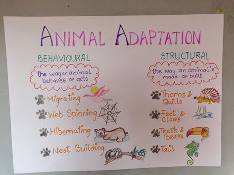 Science- Habitat and Adaptation Adaptation In Animals, Animal Adaptations Anchor Chart, Fourth Grade Science Projects, Animal Adaptations Activities, Adaptations Science, Adaptations Activities, Food Chain Activities, Animal Adaptation, Habitat Activities