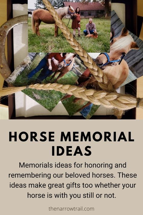 Horse Tail Memorial Ideas, Memorial Craft Ideas, Things To Do With Horse Hair, Things To Make With Horse Hair, Horse Tail Shadow Box Ideas, What To Do With Horse Hair, Horse Hair Ideas, Horse Tail Memorial, Horse Hair Memorial Ideas