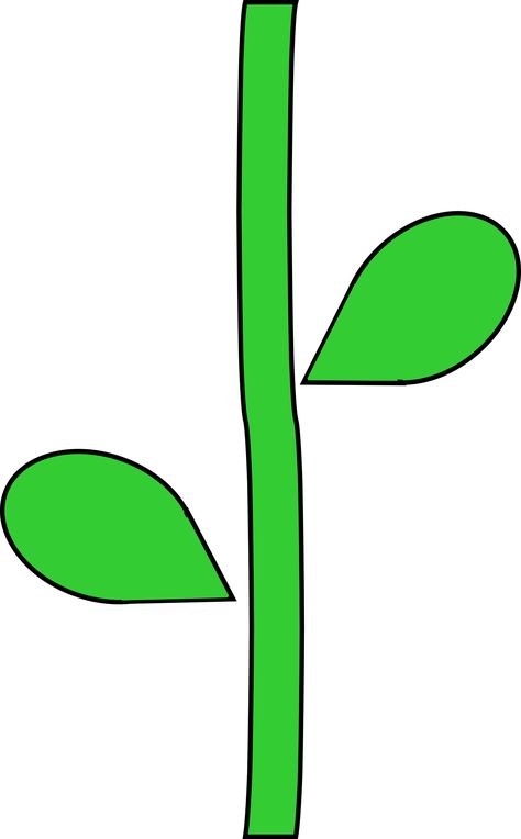 Flower Stem by @barnheartowl, A green flower stem, on @openclipart Stem Template, Printable Leaves, Stem Crafts, Flower Outline, Preschool Art Activities, Leaf Template, Soyut Sanat Tabloları, Cartoon Flowers, Flower Stem