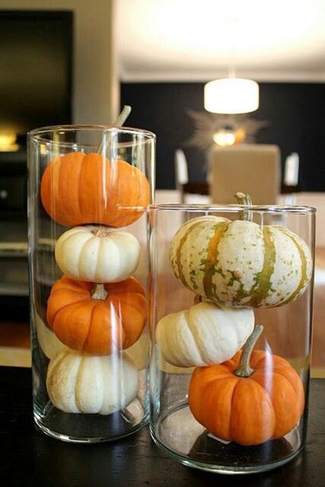 11 DIY Fall Decorations You Won't Have to Store! Strašidelný Halloween, Halloween Decor Diy, Thanksgiving Decorations Diy, Dekor Diy, Diy Thanksgiving, Fall Deco, Fabulous Fall, Mini Pumpkins, Easy Ideas