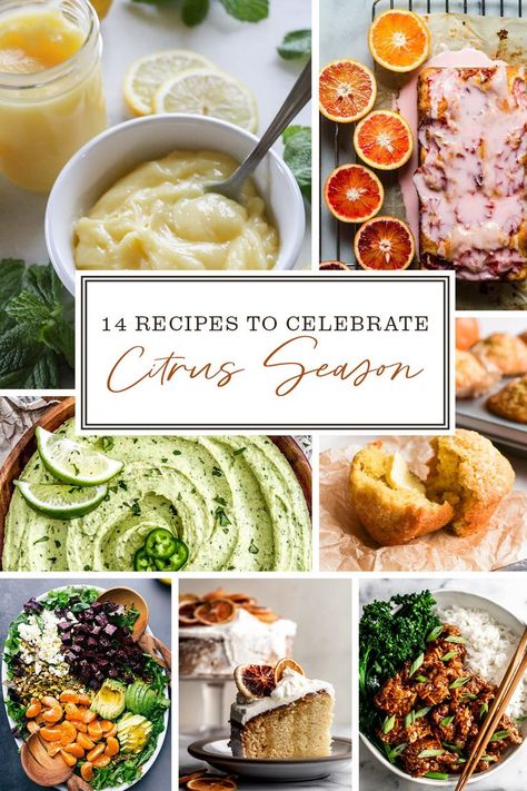 Nothing brightens a dark moody day more than citrus! So, we've compiled a list of 14 of our favourite citrus recipes from around the internet. Citrus Main Dish, Winter Citrus Recipes, Citrus Appetizer Recipes, Savory Citrus Recipes, Citrus Food Ideas, Citrus Theme Party Food, Citrus Party Food, Citrus Recipes Dinners, Citrus Dinner Party