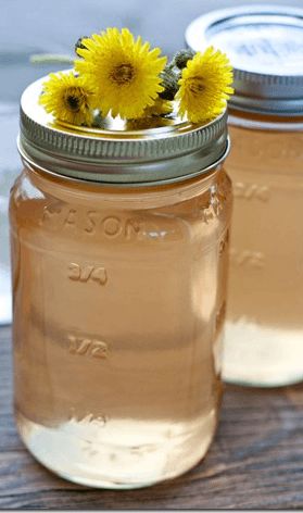 How To Make Dandelion Moonshine – Easy Step by Step Recipe! – Learn to Moonshine Dandelion Wine, Produce Recipes, Gluten Free Cornbread, Fantasy Food, Foraging Recipes, Moonshine Recipes, Making Tea, Foraged Food, Homemade Wine