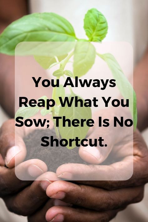 Short Wise Quotes, Wise Quotes Wisdom, Inspirational Quotes Positive Wise Words, Short Aesthetic, Reap What You Sow, Inspirational Quotes Positive, Path To Success, Good Motivation, Knowing Your Worth