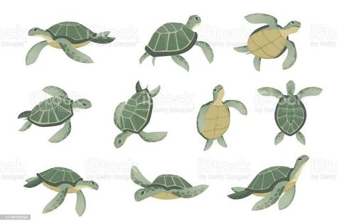 Sea Turtle Cartoon, Cute Turtle Drawings, Turtle Cartoon, Sea Turtle Drawing, Cartoon Turtle, Turtle Drawing, Sea Illustration, Baby Sea Turtle, Turtle Swimming