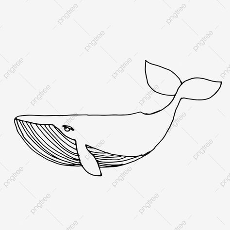 Whale Line Drawing, Life Line Drawing, Pottery Stencils, Marine Drawing, Marine Life Drawing, Drawing Whale, Wing Drawing, Whale Pictures, Whale Drawing