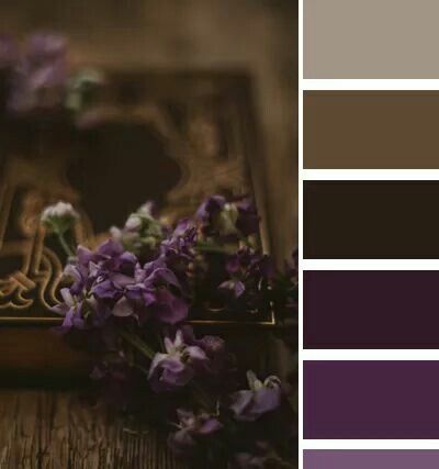 Black Brown Purple Color Palette, Brown And Purple Color Scheme, Color Palette With Dark Brown, Purple And Brown Color Palette, Purple Brown Color Palette, Plum Colour Palette, Dark Purple Colour Palette, Purple Palette Colour Schemes, Dark Purple Color Palette