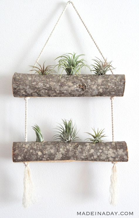 Plant Holder Diy, Plant Display Ideas, Plants Diy, Support Pour Plante, Plant Pot Diy, Plant Crafts, Air Plant Display, Support Plante, Diy Plant Hanger