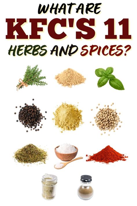 If you've ever had Colonel Sanders' famous fried chicken, you've likely wondered, "what are KFC's 11 herbs and spices?" Luckily, the cat's out of the bag! Kfc Spices, Kfc 11 Herbs And Spices Recipe, Copycat Kfc Seasoning, Kfc Spice Blend, Spice Bag, Herbs And Spices, Salad Cake, Kfc Chicken Recipe, Kfc Recipe