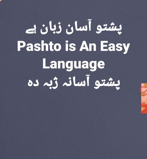 Pashto Learning, Pashto Quotes, National Language, Persian Language, Couples Songs, Couple Songs, Cute Couples Kissing, Kissing Couples, Cute Couple Songs