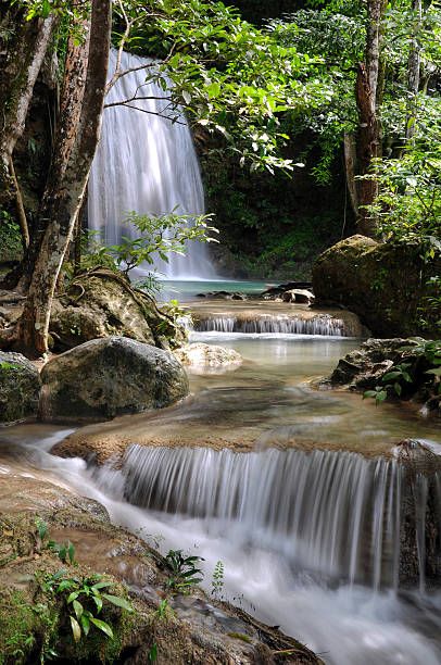 Waterfall In Forest, Waterfall Tattoo, Waterfall Wallpaper, Waterfall Pictures, Forest Waterfall, Waterfall Paintings, Waterfall Landscape, Scenery Pictures, Waterfall Photography