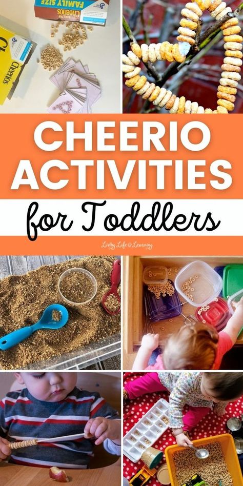 Cheerio Activities for Toddlers Cheerio Activities, Toddler Road Trip Activities, Simple Toddler Activities, Turtle Activities, Biology For Kids, Winter Activities For Toddlers, Kids Stem Activities, Chemistry For Kids, Middle School Activities