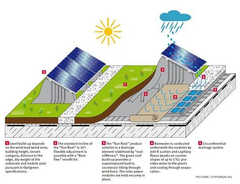 Green Roof Technology has developed advanced systems that allow easy and efficient installation of both systems without... Advantages Of Solar Energy, Living Roofs, Green Roofs, Eco Home, Solar Roof, Best Solar Panels, Photovoltaic Panels, Energy Resources, Solar Technology