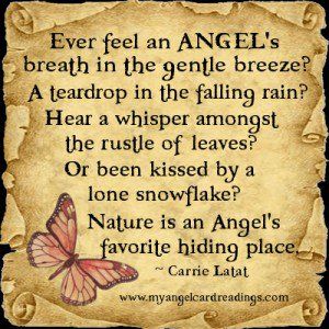 Angel Blessings, Angel Signs, Angel Quotes, I Believe In Angels, Butterfly Quotes, Angel Prayers, Angel Messages, Angels In Heaven, Uplifting Quotes