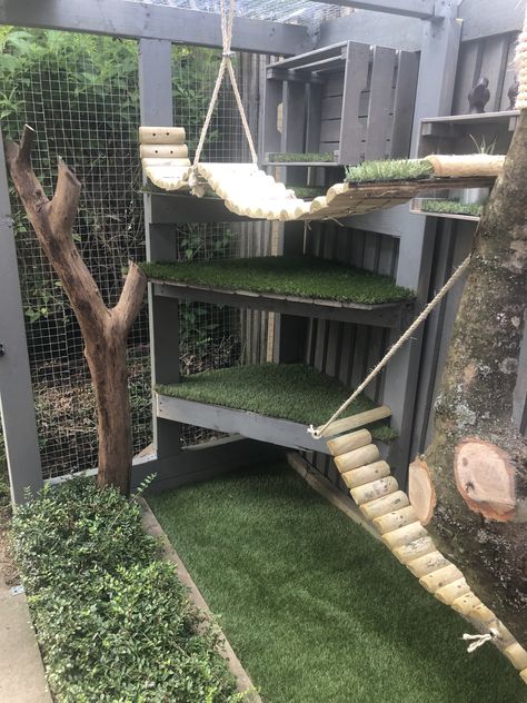 Indoor Raccoon Enclosure, Outdoor Cat Area, Cat Garden Outdoor, Cat Area Ideas, Diy Cat Patio, Cat Enclosure Ideas, Cat Patio Diy, Cat Room Outdoor, Cat Outside Enclosure