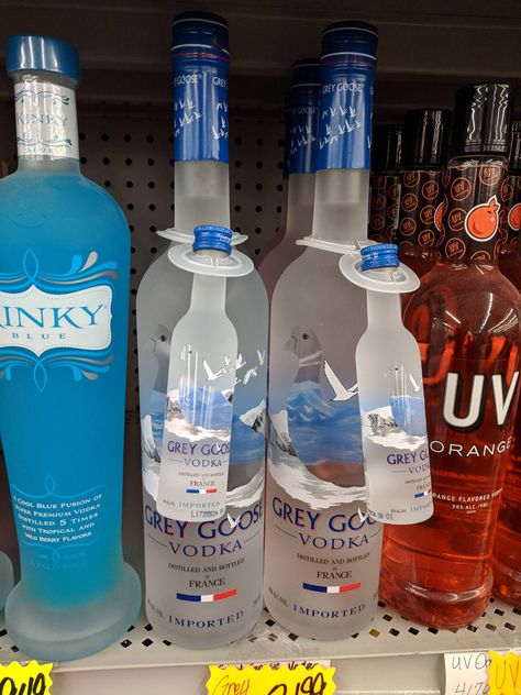 This bottle of Grey Goose comes with a gosling Grey Goose Bottle, Vodka Blue, Skyy Vodka, Grey Goose Vodka, Premium Vodka, Alcohol Aesthetic, Grey Goose, Alcoholic Drink, Flavored Vodka