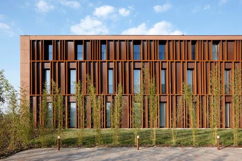 Second Skin Facade, Office Facade, Building Skin, Hotel Facade, Wood Facade, Architecture Panel, Architecture Rendering, Building Facade, Facade Architecture