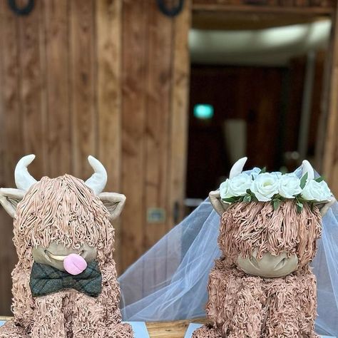 Ashley Calder on Instagram: "Mr & Mrs Highland Moo 🤍 Here they are, my highland moo wedding cakes from the weekend. I loved every minute of doing these! Have you seen a cuter Scottish Wedding Cake?!? #cupcakes #cupcake #cupcakesofinstagram #cupcakedecorating #highlandcow #highlandcowcupcakes #moo #cakequeen #edinburgh #edinburghcakes #edinburghcake #edinburghbaker #baker #cakesofedinburgh #scotland #highlandmoo #highlandcowcake #cake #cakes #cakesofinstagram #scottishwedding #scottishweddingcak Highland Cow Wedding Cake Topper, Highland Cow Wedding Cake, Highland Cow Wedding, Cow Wedding Cake, Highland Cow Cake, Scottish Wedding Cakes, Wedding Cake Cupcakes, Wedding Scottish, Cow Cupcakes