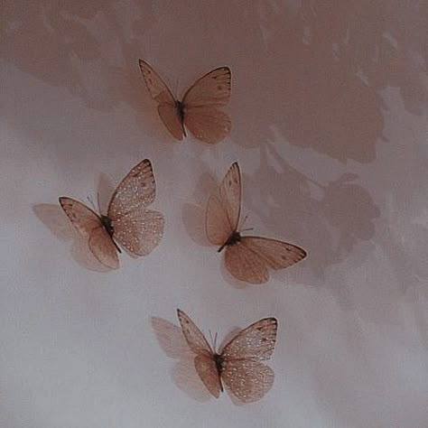 Widget Pictures, Rose Gold Aesthetic, Butterfly Aesthetic, Aesthetic Roses, Rosé Aesthetic, Fairy Aesthetic, Vintage Icons, Gold Aesthetic, Beige Aesthetic