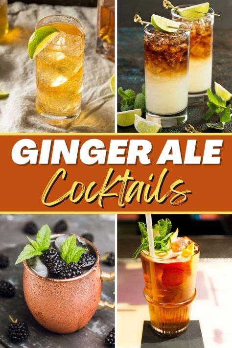 You won't be able to resist these ginger ale cocktails! From Moscow mules to dark and stormy's to mojitos, ginger ale is a great addition to so many drinks. Gingerale Cocktail, Vodka Press, Ginger Ale Drinks, Ginger Ale Cocktail, Rhubarb Gin, Spring Drink, Moscow Mules, Whiskey Ginger, Margarita Mix