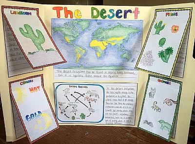 Engage your students with these 10 ecosystem project ideas for your elementary science class and grab a FREEBIE to get started! Ecosystem Project Ideas, Ecosystem Project, Biomes Project, Ecosystems Projects, Desert Biome, Habitats Projects, Middle School Science Experiments, English Projects, Interactive Science Notebook