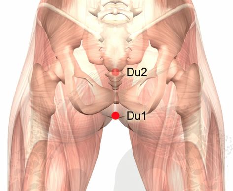 Top 6 Acupressure Points to Start Your Day – Cupping Points, Acupressure Points Chart, Acupressure Chart, Acupressure Point, Remove Blackheads From Nose, Pressure Point Therapy, Neck Ache, Body Facts, Acupuncture Point