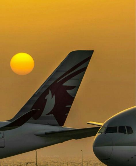 Beautiful logo of Qatar airways Boeing 777-300er tail Qatar Airways Wallpaper, Qatar Airways Aesthetic, Pilot Life, Boeing 777 300, Airport Vibes, Pilot Career, Mother And Baby Animals, 777 300er, Plane Photos