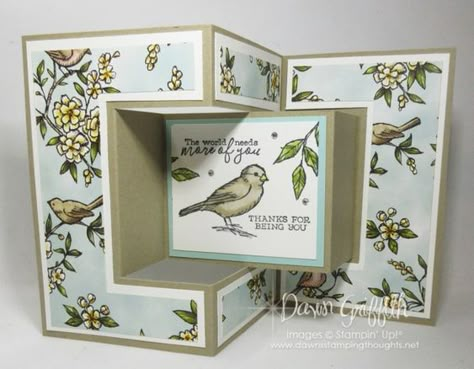 Cards With Birds, Trifold Shutter Cards, Dawns Stamping Thoughts, Shutter Card, Step Card, Fancy Fold Card Tutorials, Tri Fold Cards, Step Cards, Shaped Cards