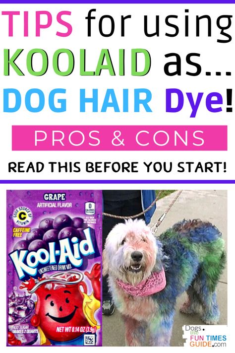 What you need to know before using Koolaid to dye your dog’s hair. Read this before you start pouring Kool-Aid all over your dog's fur! #diydog #dogfur #doghair #doghairdye Diy Dog Hair Dye, Dye Dogs Fur, Hair Dye For Dogs, Safe Hair Dye, Kool Aid Hair Dye, Kool Aid Hair, Dog Hair Dye, Dog Dye, Shitzu Dogs