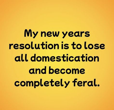 Nye Memes Funny, New Year’s Resolutions Funny, Happy New Year Memes Funny, New Year Meme Funny Humor, New Years Eve Humor, Funny New Year Quotes Humor Hilarious, New Years Memes Funny, New Year Meme Funny, New Years Humor