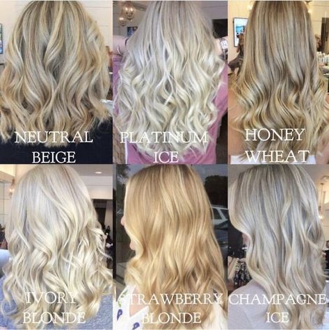 Blonde Hair Color Guide, Neutral Beige Hair Color, Silver And Gold Hair Color, Neutral Skin Blonde Hair, Non Bleach Blonde Hair, One Tone Blonde Hair, All Over Cool Blonde Hair Color, Champagne Ice Blonde Hair, Neutral Blonde Hair Color Ideas