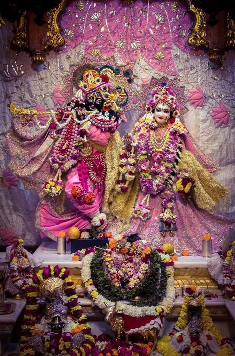 Ranchodraiji Photo, Vrindavan Krishna Images, Vrindavan Photography, Goddess Tara, Vrindavan Photography Pictures, Iskcon Vrindavan, Radhe Krishna Wallpapers, Krishna Flute, Latest Bridal Mehndi Designs